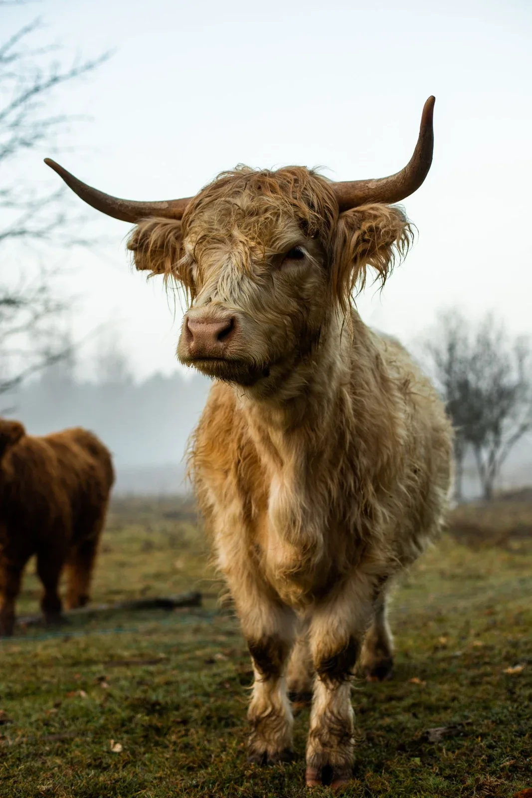 May Star Sign: Taurus or Gemini? Dates and What They Mean