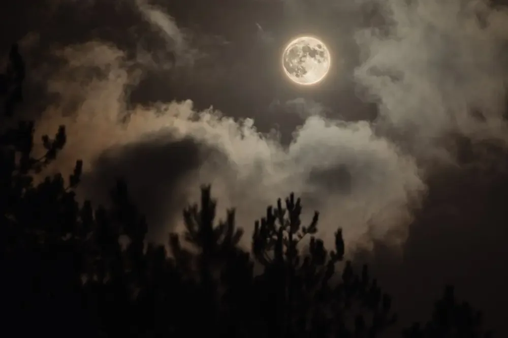 Full moon behind clouds over dark trees at night