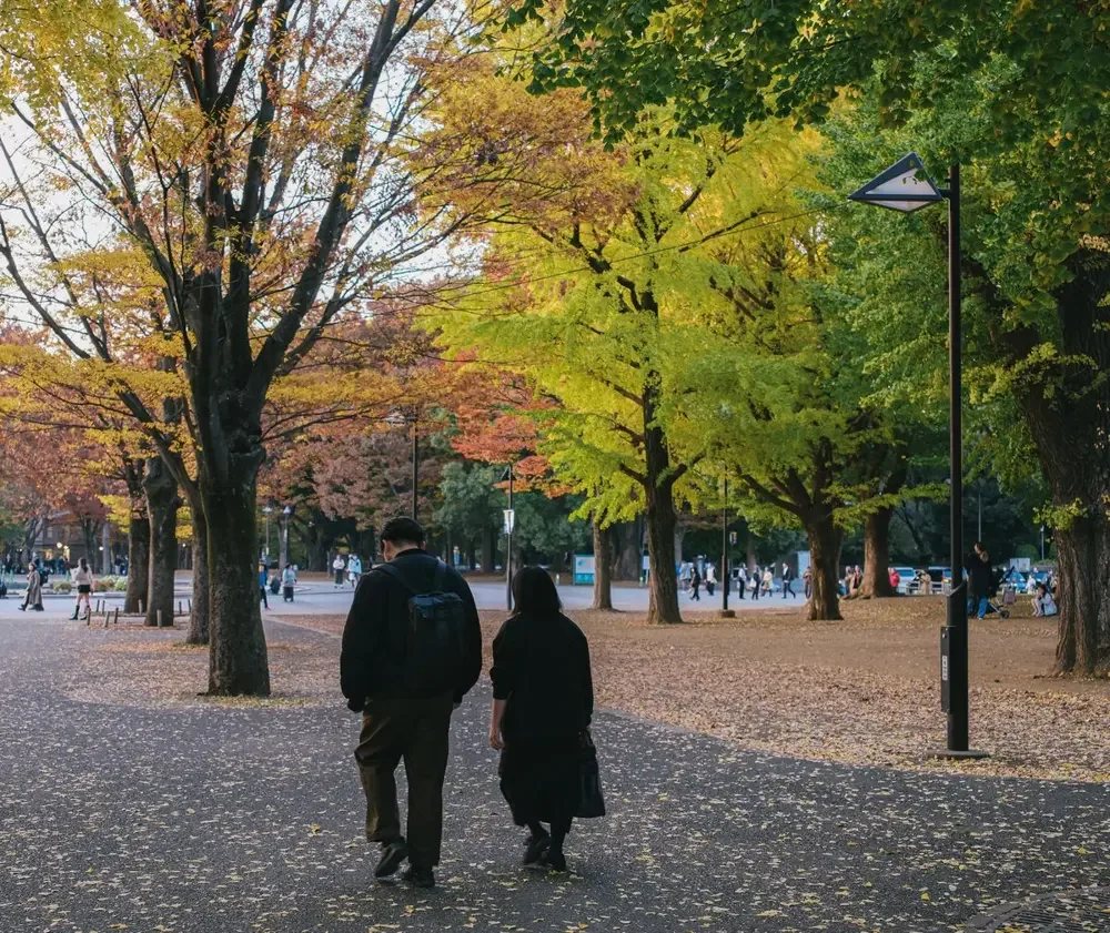 Couple walking together through a park with autumn trees