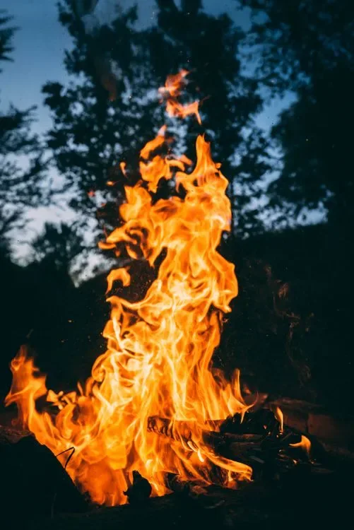 A bonfire burning at dusk among trees